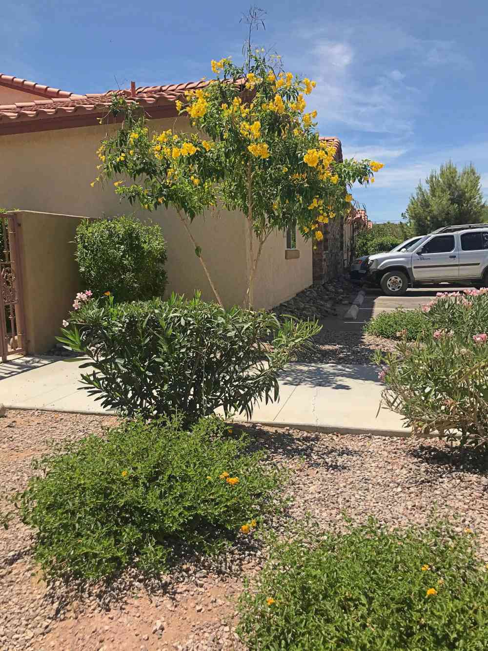 About Desert Garden Services