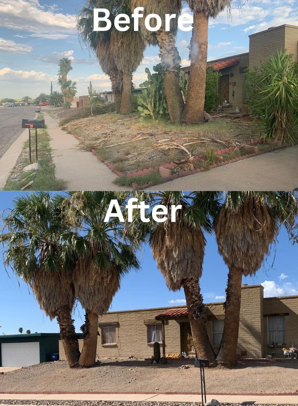 Before and after transformation of a desert home landscape with palm trees and landscaping changes.