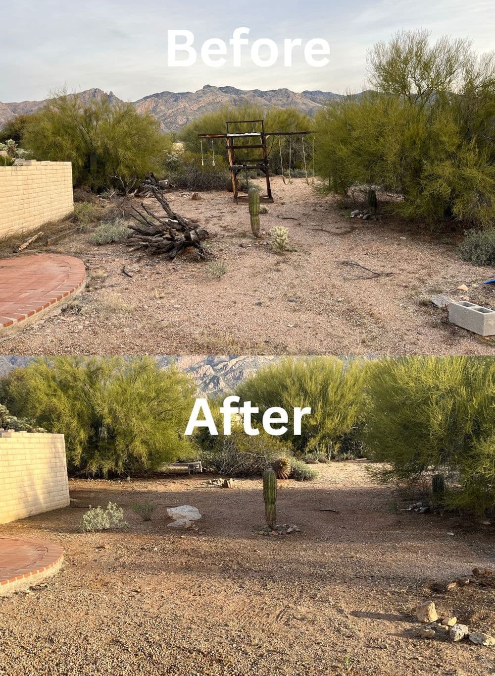 Before and after transformation of a desert backyard with cacti and clearing of debris.