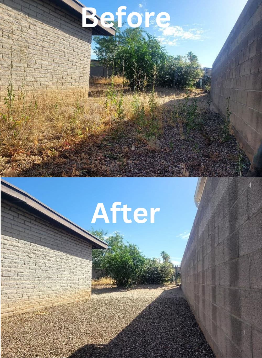 Side yard transformation: overgrown weeds cleared, clean gravel surface, improved landscaping.