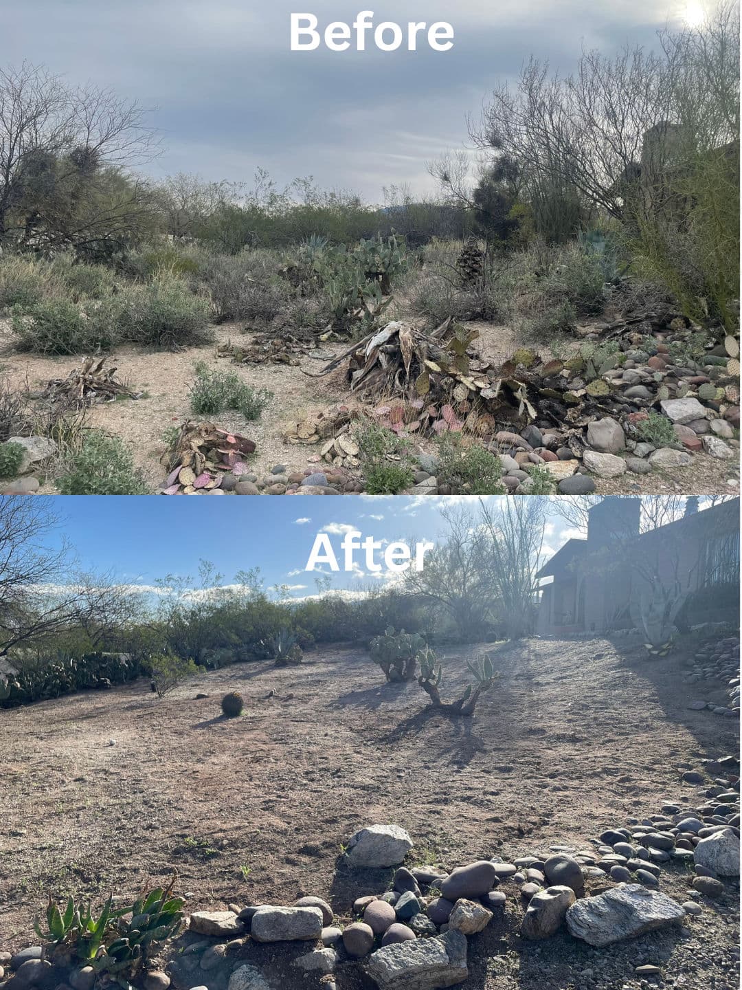 Desert Cleanup in Tanque Verde Delivers Stunning Transformation image