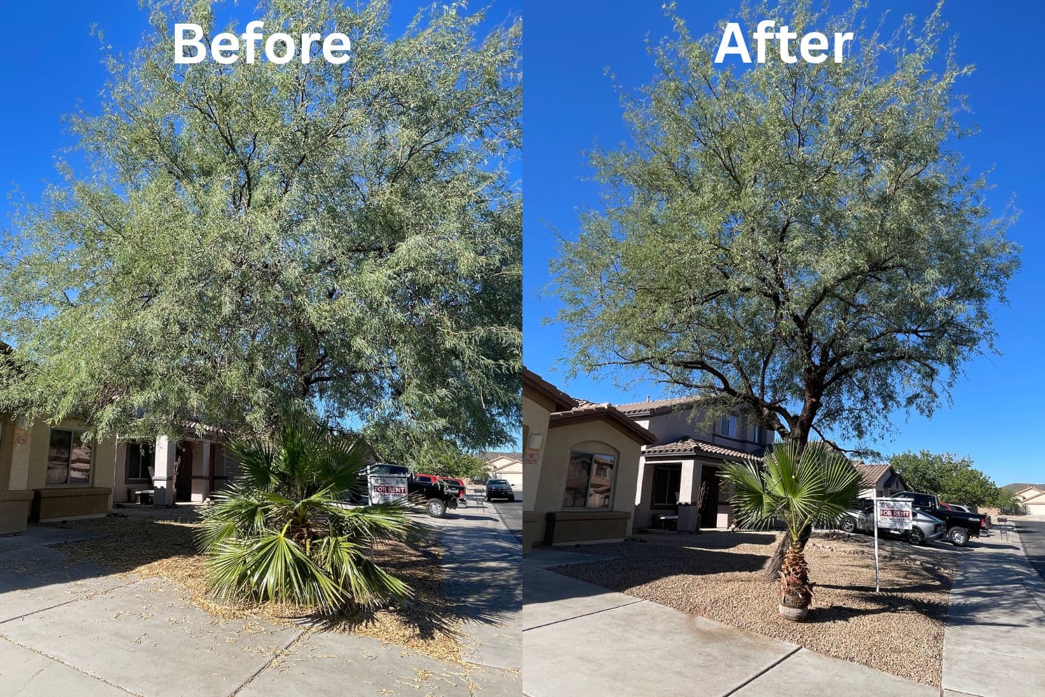 Kleindale Yard Service Excellence image