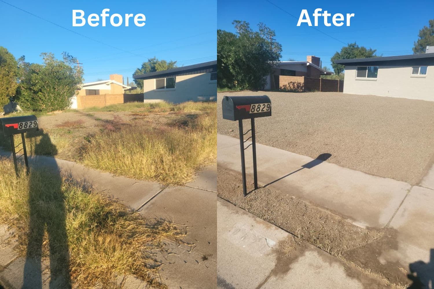 Tucson Yard Cleanup Mastery image