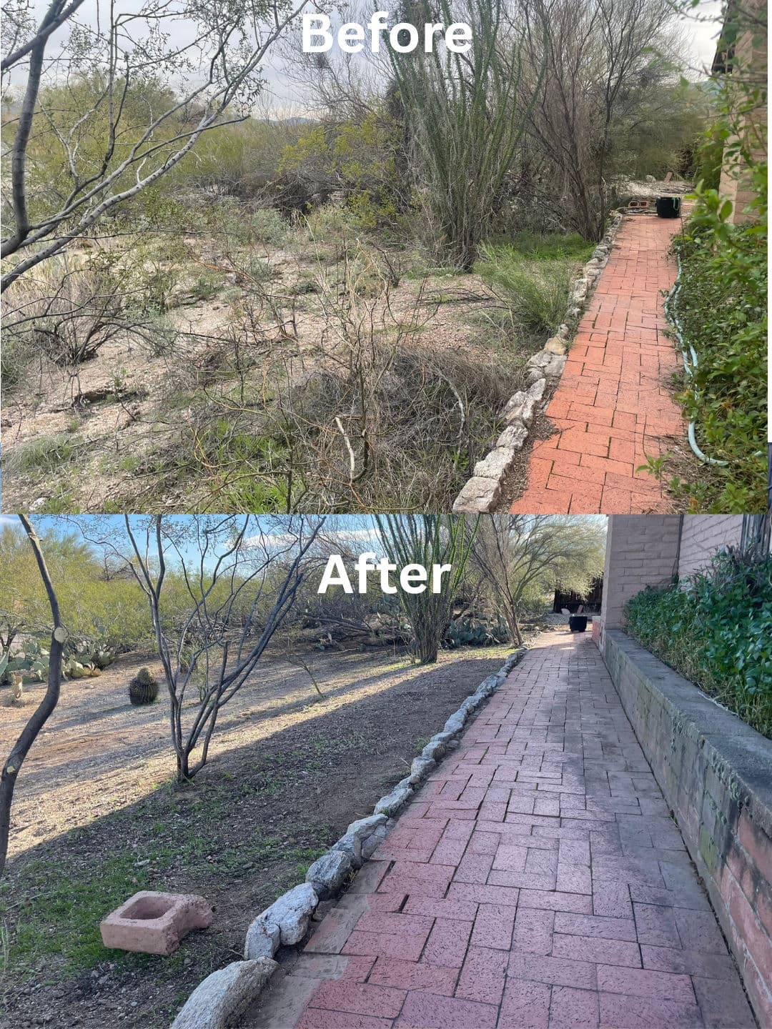 Gallery photos for Desert Cleanup in Tanque Verde Delivers Stunning Transformation: Image #1