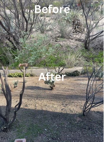 Stunning Yard Transformation in Eastside Tucson image