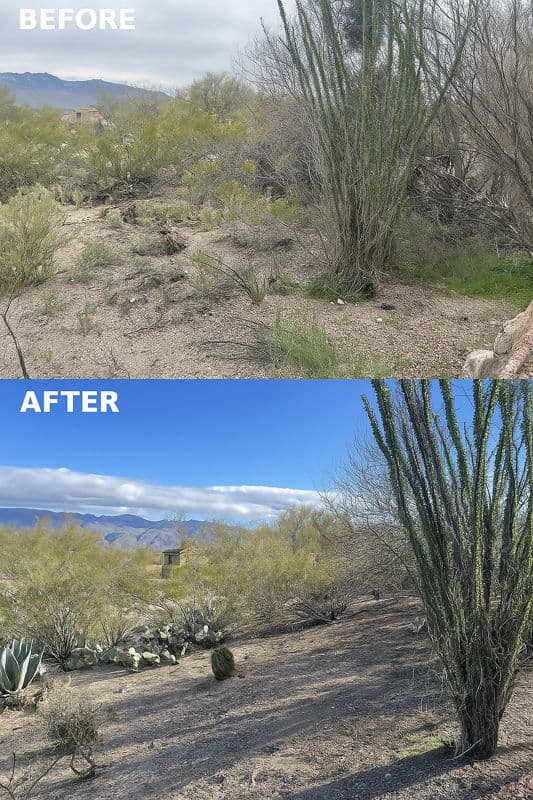 Stunning Transformation in Tucson Foothills image