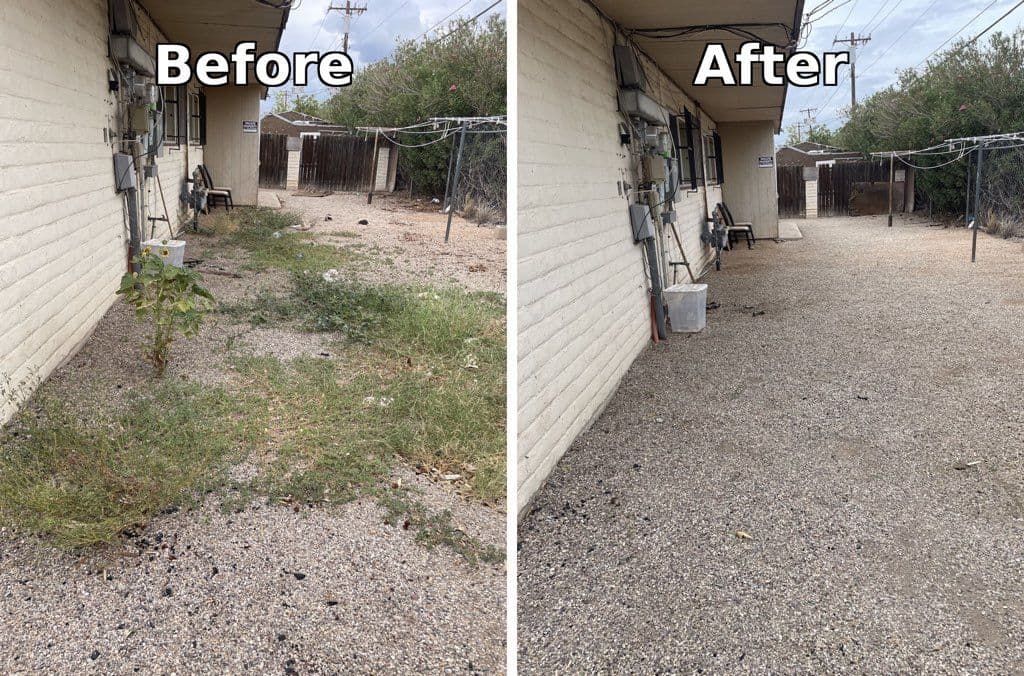 Stunning Yard Transformation for Apartment Clients image